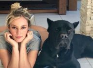 Paolla Oliveira toca violão e cachorro chama atenção: 'Plateia'. Veja vídeo!