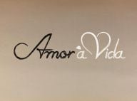 'Amor à Vida' pode ser esticada até o fim de janeiro de 2014