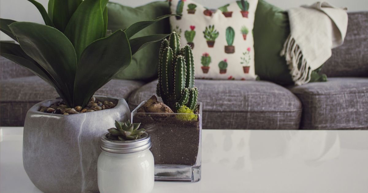 Arquitetas do dicas de decorao para refrescar a morada no vero