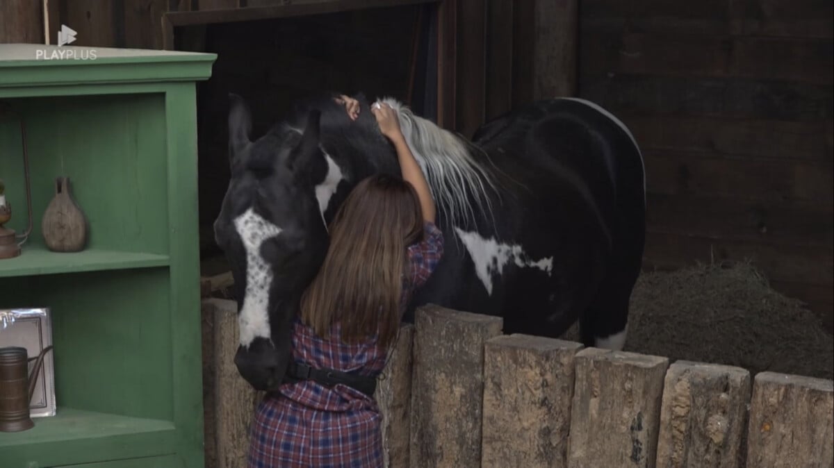 Foto A Fazenda Ingrid ficou revoltada a Roça Purepeople