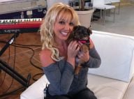 Britney Spears abre Twitter para sua nova cadelinha, já com 10 mil seguidores