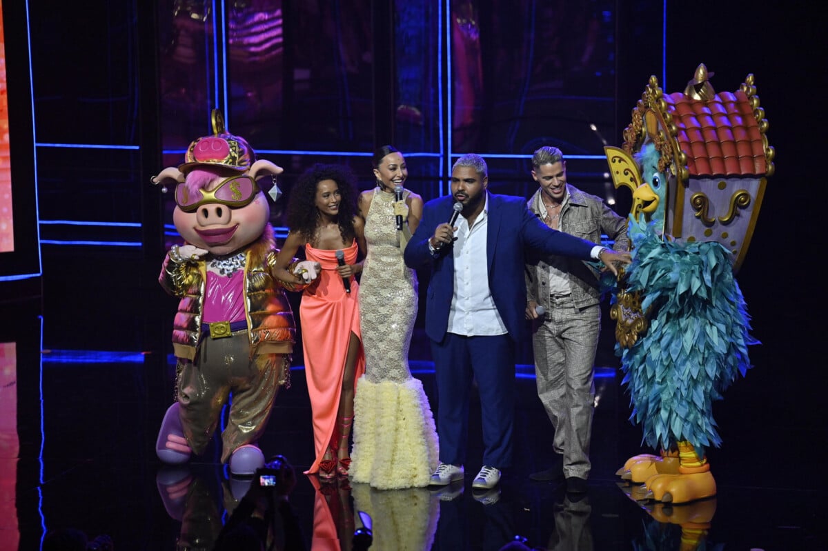 Foto The Masked Singer Brasil Em Ter As Fantasias Mc Porquinha