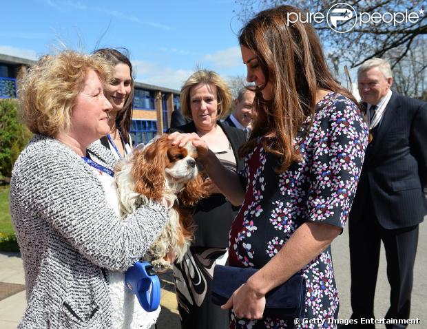Kate Middleton conheceu o cachorro de estimação da escola, Henry