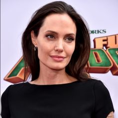 'Brad ainda não conheceu o namorado de Angelina e nem pretende conhecê-lo. Ele o considera um intruso em sua família', informou uma fonte à revista 'In Touch Weekly'