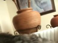 Sasha Meneghel fica com ciúmes de Bruna Marquezine e cadelinha: 'Ataca'. Vídeo!