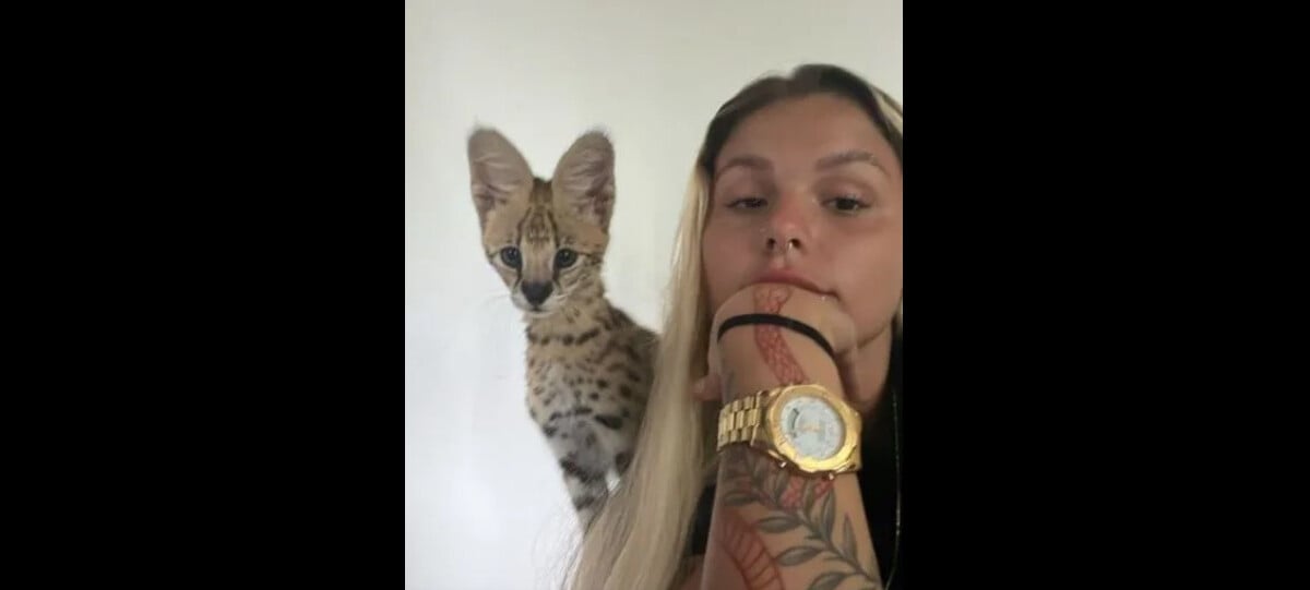 Foto MC Oruam e a namorada Fernanda Lavença estão criando um gato da