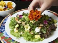 Fácil e rápido: aprenda a montar uma salada especial com castanhas e tofu!