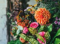 Flores na rotina de beleza: conheça os benefícios para a pele