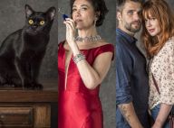 Estreia de 'O Sétimo Guardião': gato Leon, vilã e casal Luzbriel são destaques