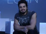 Luan Santana passa bem após cair de grua em show: 'Bateu cotovelo e lombar'