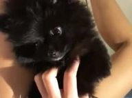 Ex-BBB Emilly ganha cachorro de fãs e se emociona: 'Não tenho palavras'. Vídeo!