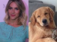 Giovanna Ewbank pede ajuda para encontrar cachorro perdido: 'Desesperados'