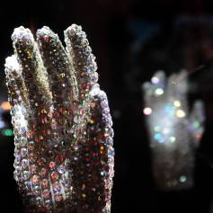 Michael Jackson deu a luva para seu amigo Paul Bedard que, em 2005, vendeu a peça para um colecionador privado