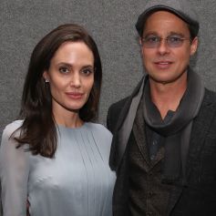 'Esse conceito me deu um soco na cara após o divórcio', admitiu Brad Pitt