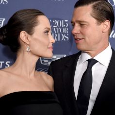 'Se você ama uma pessoa, deixa-a livre. Agora eu sei o que isso significa', garantiu Brad Pitt