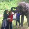 Marina Ruy Barbosa e o noivo, Xandinho Negrão, no acampamento de elefantes Elephant Life Experience, em Mae Taeng, na Tailândia