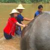 Marina Ruy Barbosa e o noivo, Xandinho Negrão, no acampamento de elefantes Elephant Life Experience, em Mae Taeng, na Tailândia