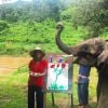 Para visitar o acampamento de elefantes Elephant Life Experience, em Mae Taeng, na Tailândia, Marina Ruy Barbosa apostou em calça azul e bata vermelha étnica, e completou o look com chapéu de palha estilo oriental