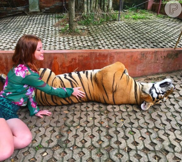 Marina Ruy Barbosa escolheu macaquinho verde estampado da coleção Verão 2017 da Fabulous Agilità - ainda indisponível para vendas - ao visitar um zoológico na Tailândia, onde posou com um tigre
