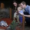 Príncipe George se esticou por cima do vidro para observar um bilby, animal típico da Austrália, durante visita ao país