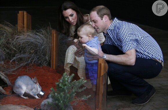 Príncipe George se esticou por cima do vidro para observar um bilby, animal típico da Austrália, durante visita ao país