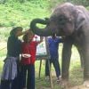 Marina Ruy Barbosa e Xandinho Negrão brincam e fazem carinho no elefante