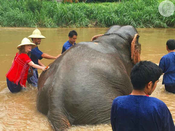 Marina Ruy Barbosa e Xandinho Negrão deram banho nos elefantes durante o passeio