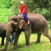 Mariana Ruy Barbosa anda em cima de elefante durante passeio em viagem à Tailândia