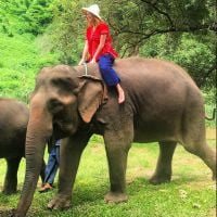 Mariana Ruy Barbosa passeia de elefante e acaricia tigre na Tailândia. Fotos!