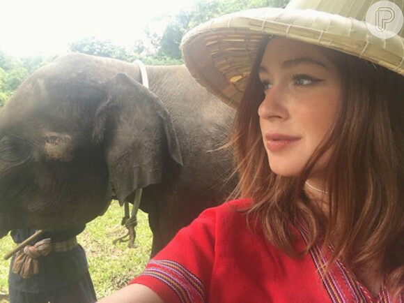 'Fiquei encantada com esse acampamento de elefantes', publicou Marina