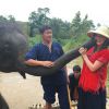 No ponto turístico, Marina brincou com os elefantes e ainda recebeu um beijo de um deles. 'Pensa num beijo babado', legendou ela na foto do Instagram