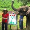 Marina ainda fez pinturas com os elefantes: 'Um dos dias mais especiais da minha vida', legendou ela na foto do Instagram