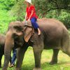 Pela manhã, durante um passeio em Chiang Mai, Marina brincou com os elefantes 