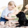 Príncipe George aparece dando sorvete para o cachorro da fampilia real, lupo. A foto movimentou o twitter com críticas ao ato, que pode fazer mal ao animal