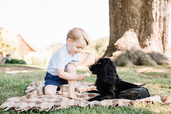 Príncipe George aparece dando sorvete para o cachorro da fampilia real, lupo. A foto movimentou o twitter com críticas ao ato, que pode fazer mal ao animal