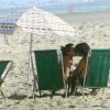 Deborah Secco e o marido, Hugo Moura, trocam beijos na praia da Barra