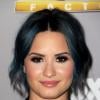 Demi Lovato fiacará focada na música em 2014