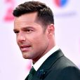 Ricky Martin falou sobre o pedido de casamento que fez ao namorado,  Jwan Yosef 