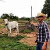 Gusttavo Lima publica foto do seu boi, na fazenda batizada de Balada, em 8 de janeiro de 2013