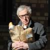 Atualmente, Woody Allen se prepara para lançar 'Fading Gigolo'. O filme tem previsão de lançamento em abril de 2014