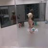 Clara cumpre promessa e toma banho nua no 'BBB 14', em janeiro de 2014