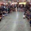 Demi Lovato desembarcou no aeroporto de Guarulhos neste domingo 20 de abril de 2014 e causou frenesi nos fãs