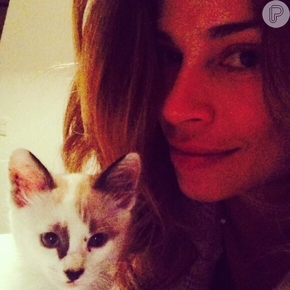 Grazi Massafera apresenta seu novo gatinho no Instagram: 'Sem nome', escreveu em 28 de abril de 2014