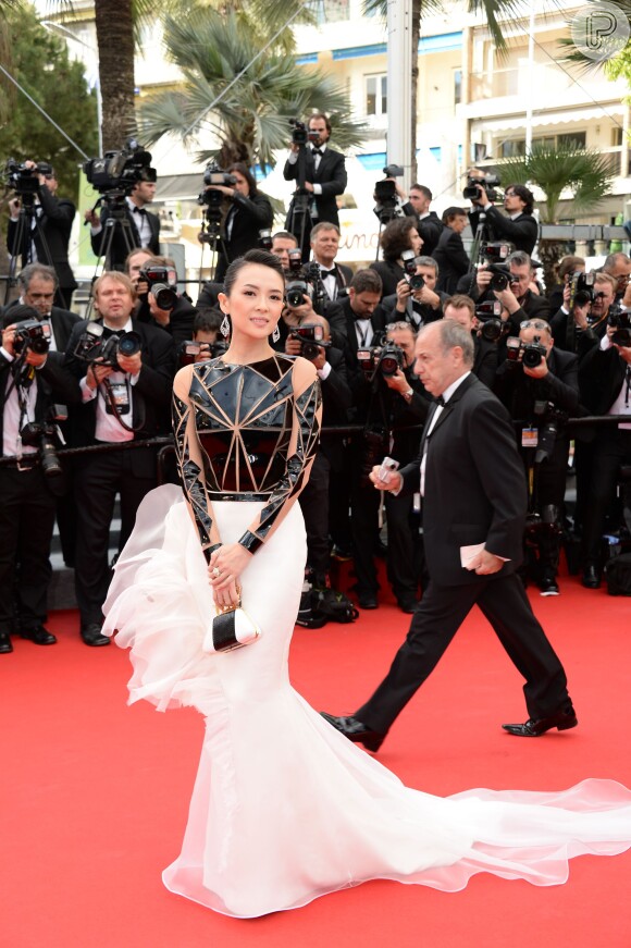 Zhang Ziyi veste Stéphane Rolland no Festival de Cannes 2014