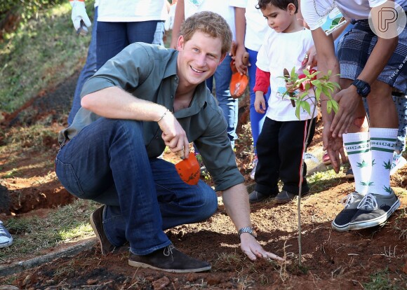 Príncipe Harry planta árvore durante visita ao projeto Serra do Mar, em São Paulo, em 25 de junho de 2014