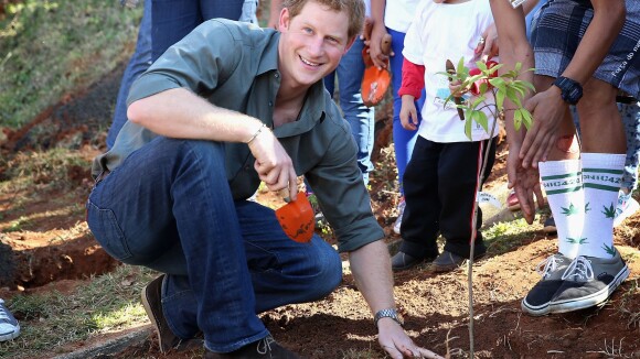 Príncipe Harry planta árvore durante visita a projeto social em São Paulo