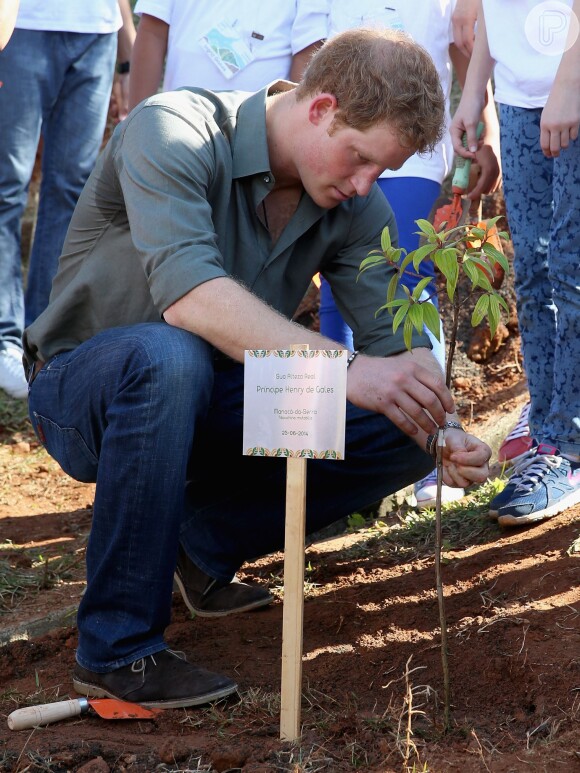 Príncipe Harry plantou um pé de manacá-da-serra