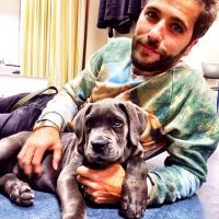 Bruno Gagliasso dá cachorro de presente para Giovanna Ewbank: 'Jogo sujo'