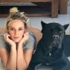 Marley, cachorro de Paolla Oliveira, chamou atenção em vídeo publicado pela atriz na web nesta quinta-feira, 14 de maio de 2018