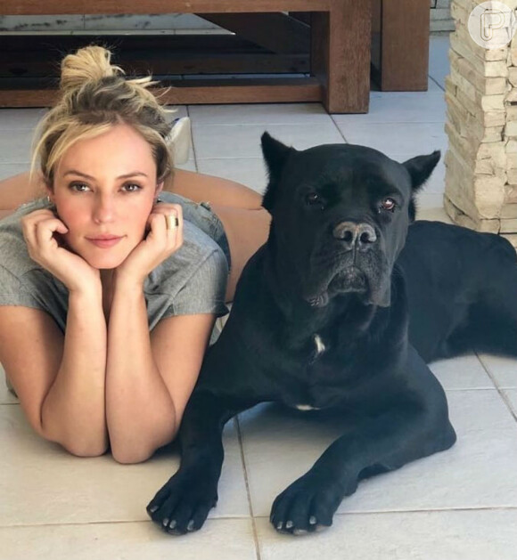 Marley, cachorro de Paolla Oliveira, chamou atenção em vídeo publicado pela atriz na web nesta quinta-feira, 14 de maio de 2018